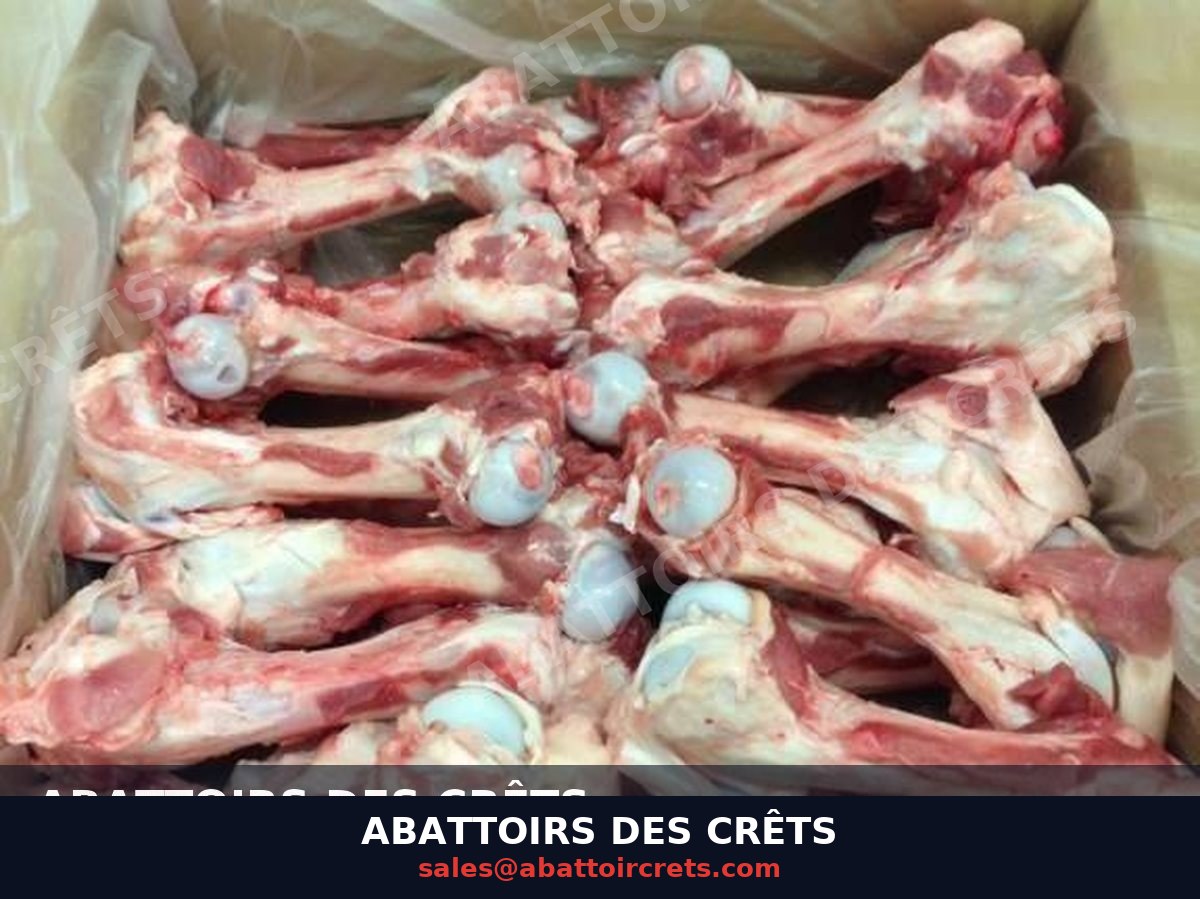 Frozen Pork Femur Bones — French pork, Frozen (BN-004)