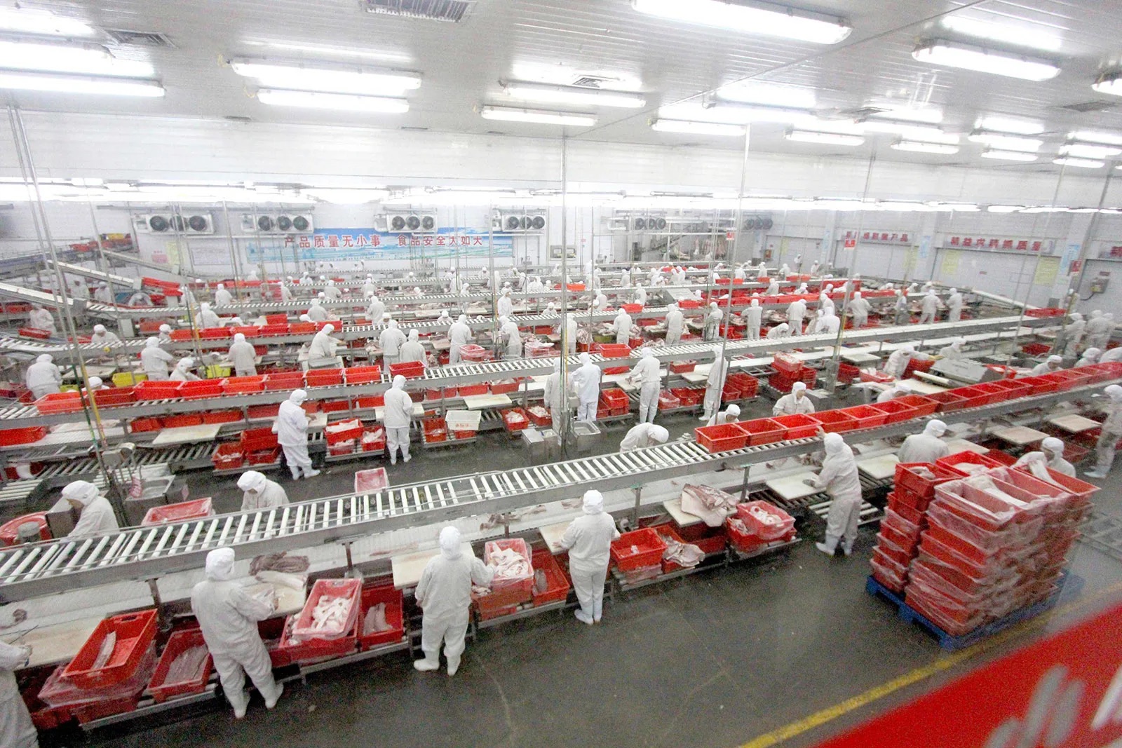 Industrial pork cutting and processing hall — high-capacity French export production