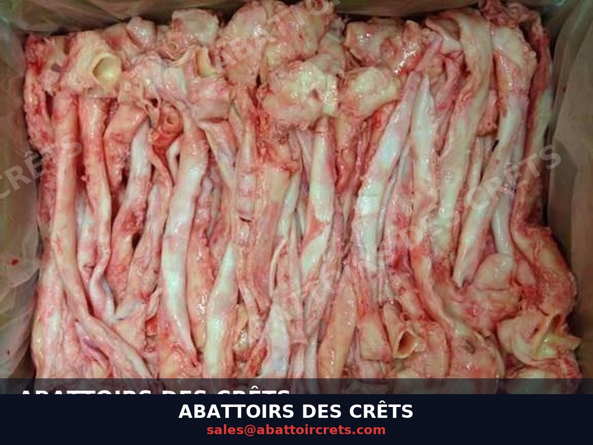 Pork Aorta — French pork, Frozen (OF-018)
