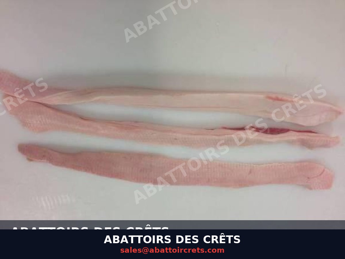Pork Fat (Processing Grade) — French pork, Chilled / Frozen (IN-005)