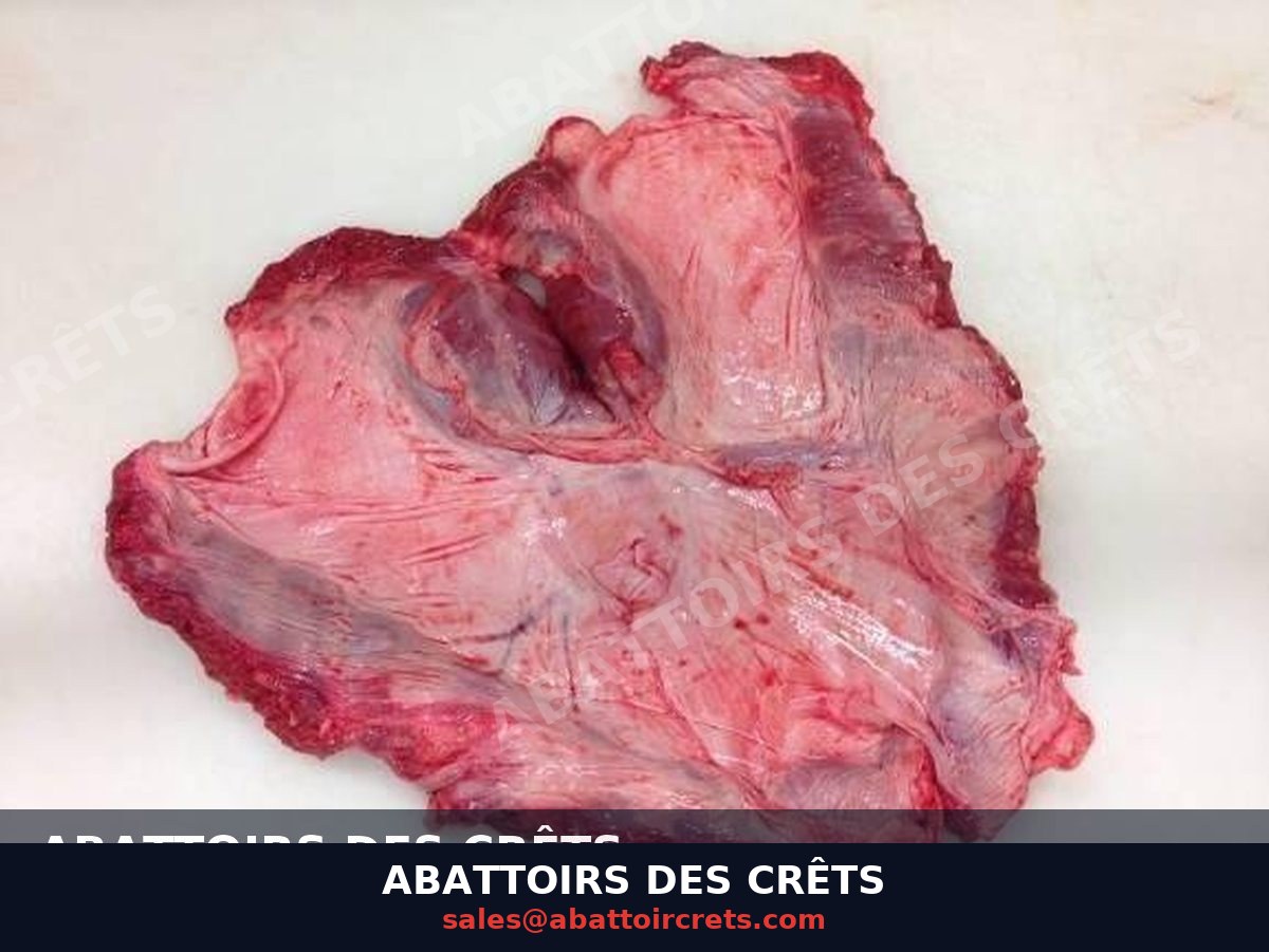Pork Diaphragm — French pork, Chilled / Frozen (OF-019)