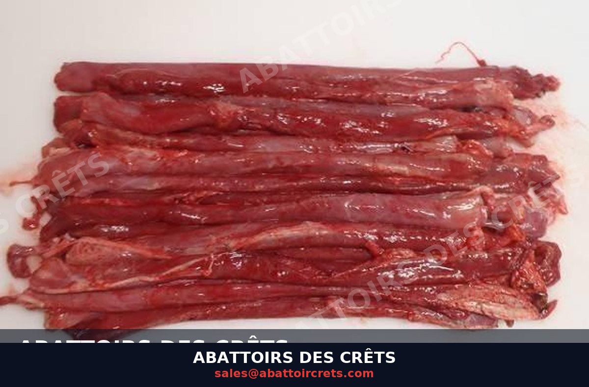 Pork Esophagus — French pork, Frozen (OF-020)