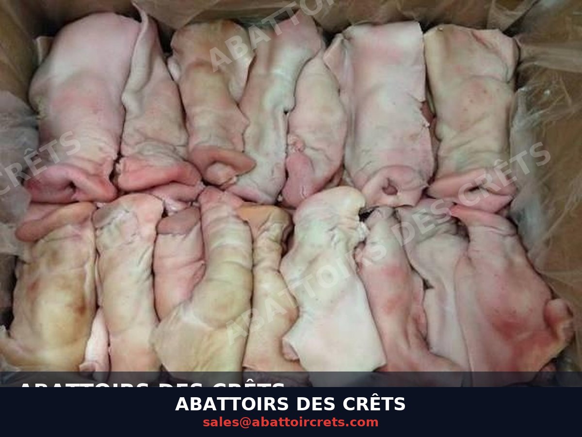 Pork Head — French pork, Chilled / Frozen (PC-028)