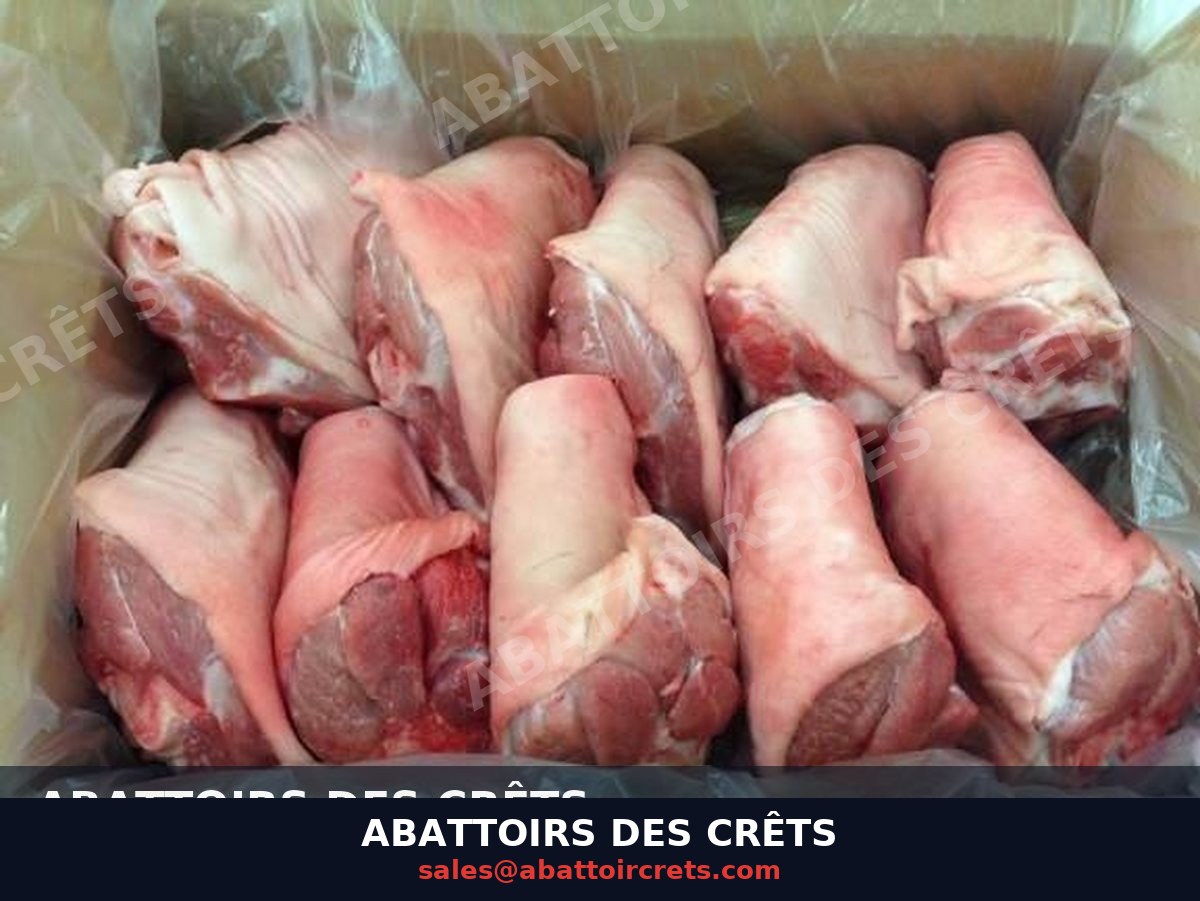 Pork Hock / Knuckle — French pork, Chilled / Frozen (PC-024)