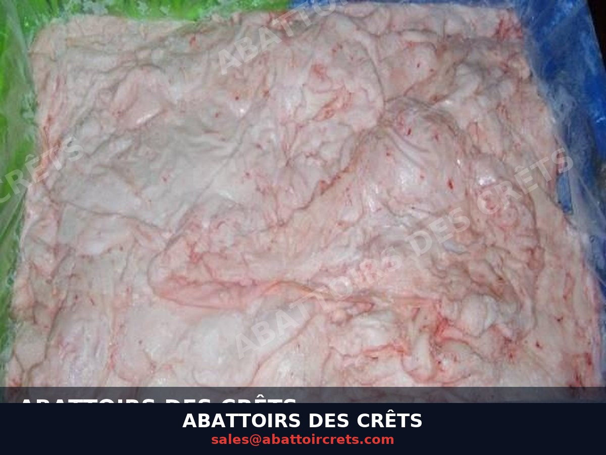 Leaf Fat — French pork, Chilled / Frozen (OF-025)