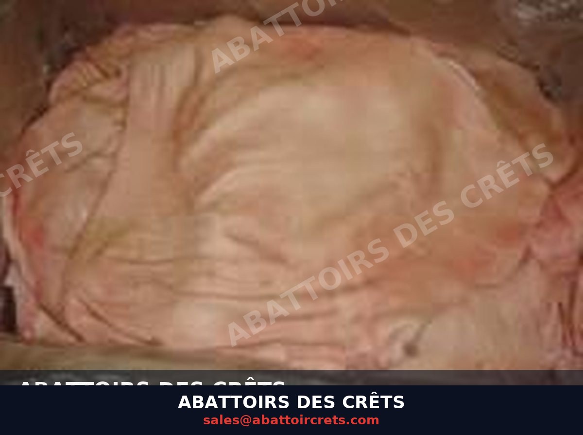 Pork Skin — French pork, Chilled / Frozen (OF-023)