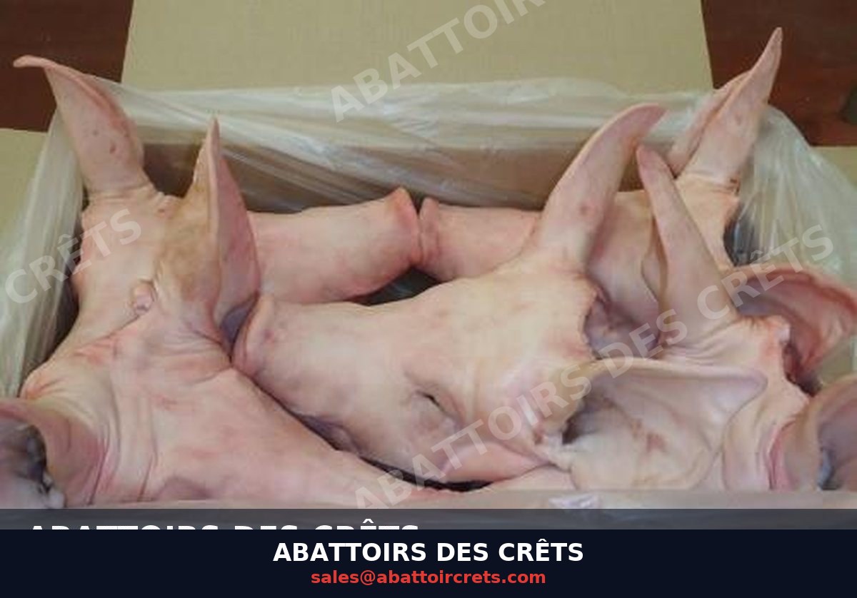 Pork Snout / Nose — French pork, Chilled / Frozen (OF-006)