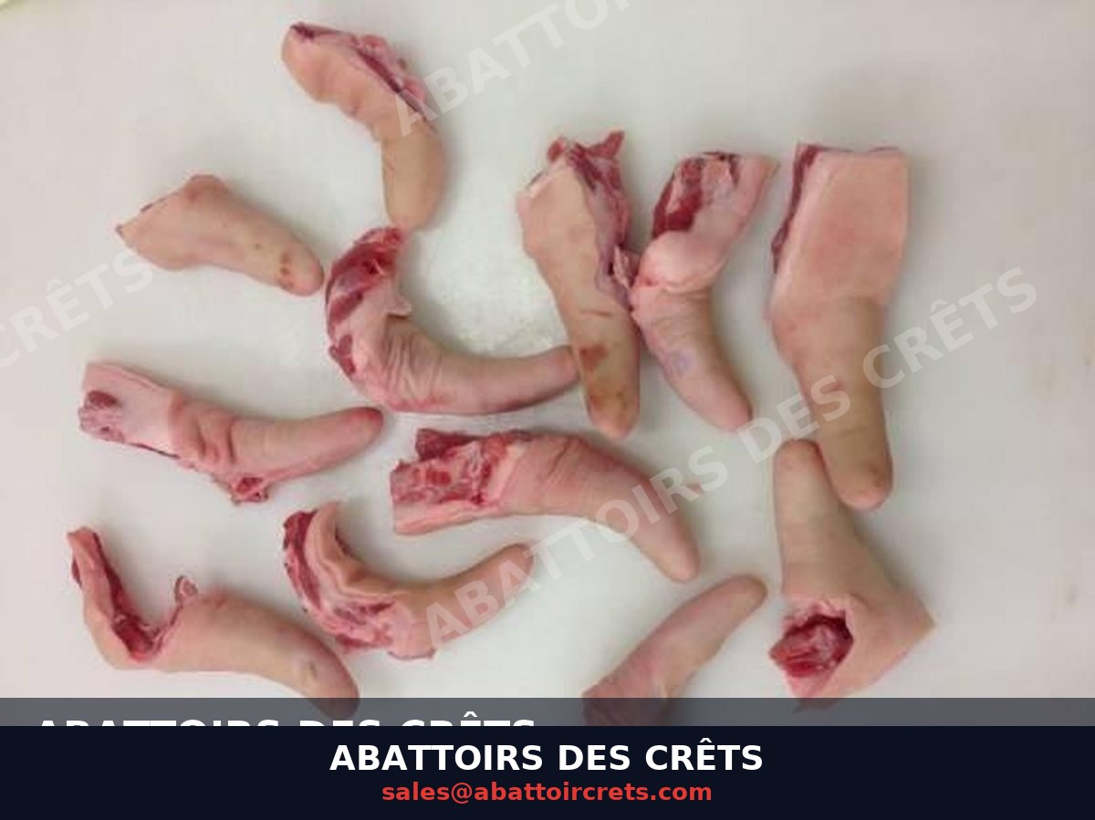 Pork Tails — French pork, Chilled / Frozen (OF-005)