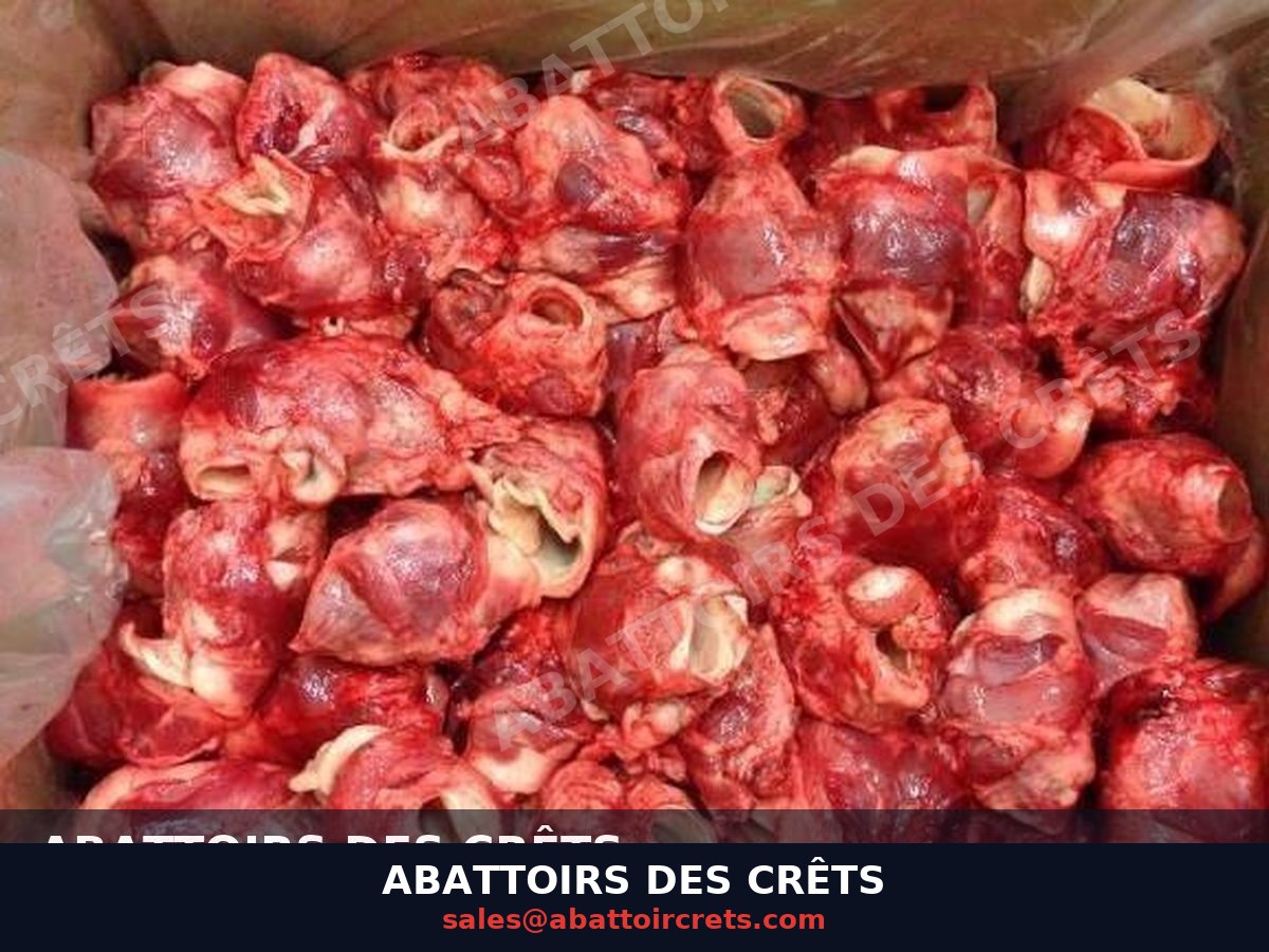 Frozen Pork Throat Meat — French pork, Frozen (OF-028)