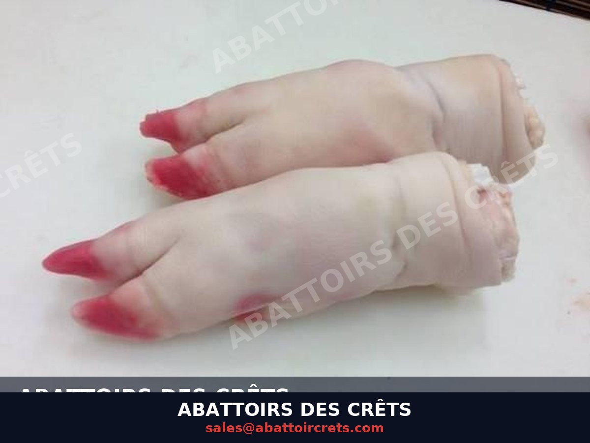 Pork Feet / Trotters — French pork, Chilled / Frozen (OF-001)